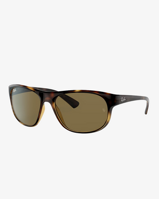 Rayban | RB4351 | 710/73 | 59