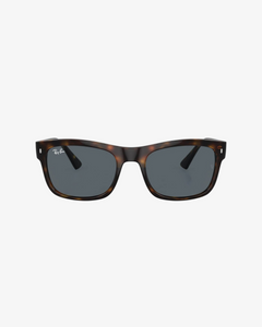 Rayban | RB4428 | 710 R5 | 56