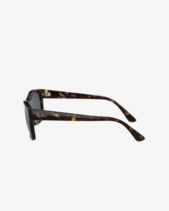 Rayban | RB4428 | 710 R5 | 56